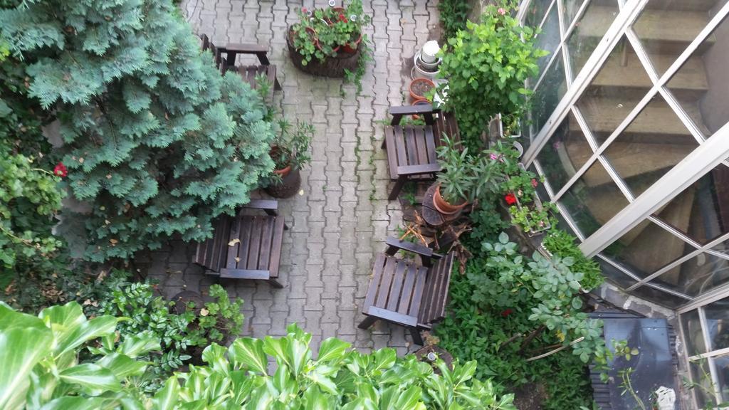 Bed and Breakfast Vila Monica Тыргу-Муреш Экстерьер фото
