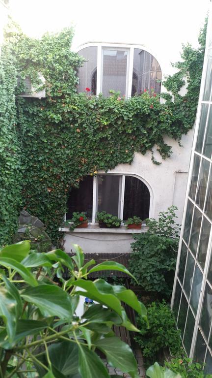 Bed and Breakfast Vila Monica Тыргу-Муреш Экстерьер фото