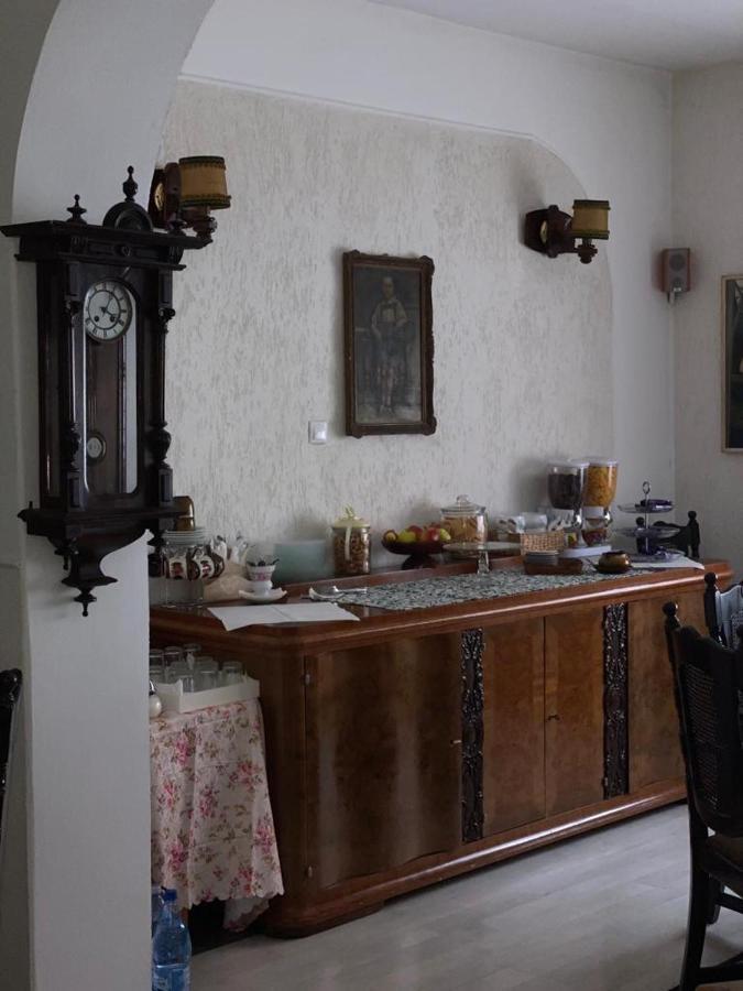 Bed and Breakfast Vila Monica Тыргу-Муреш Экстерьер фото