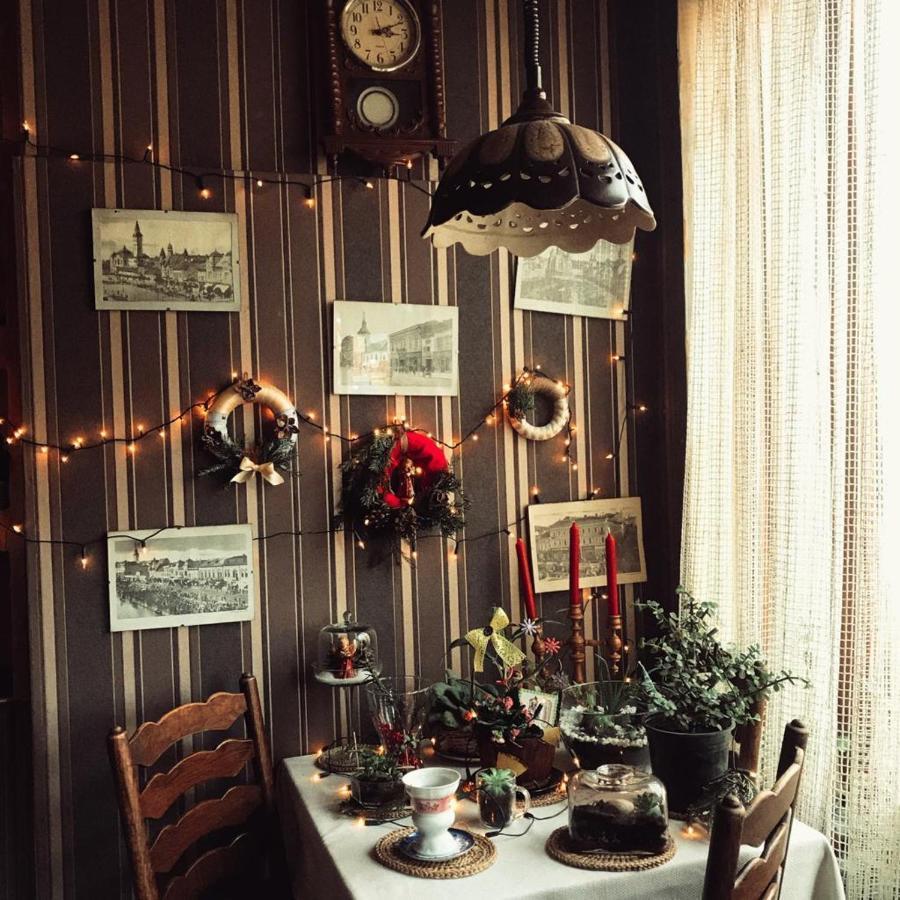 Bed and Breakfast Vila Monica Тыргу-Муреш Экстерьер фото