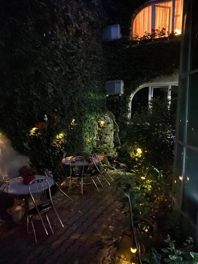 Bed and Breakfast Vila Monica Тыргу-Муреш Экстерьер фото
